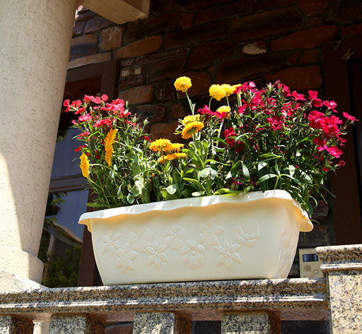 China supplier wholesale plastic garden flower pots