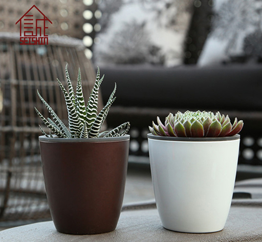 Wholesale office desk mini plastic succulent plant pots