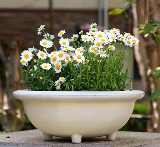 Garden half round plastic plant flower pots wholesale